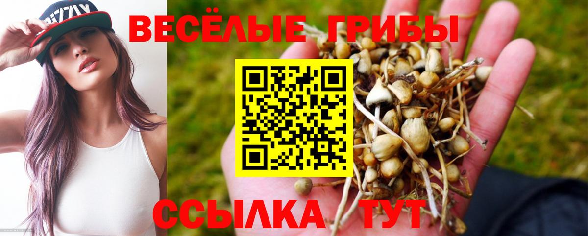 Муром  Псилоцибиновые грибы MAGIC MUSHROOMS  Вход с VPN 